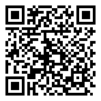 QR-Code - Blue_White Business
